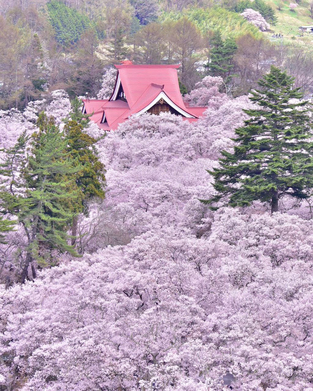 387bdc40-addb-43ee-bddf-