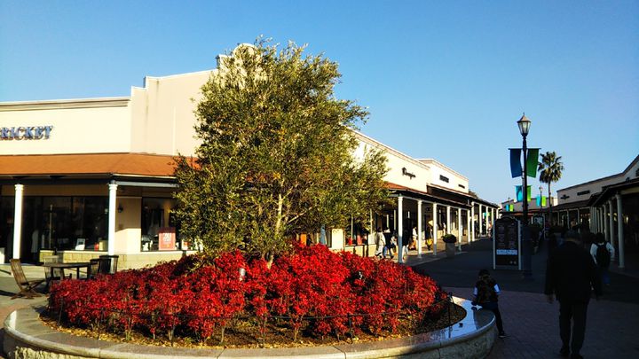 雨の日だからこそ楽しみたい 茨城のデートスポット選 Retrip リトリップ