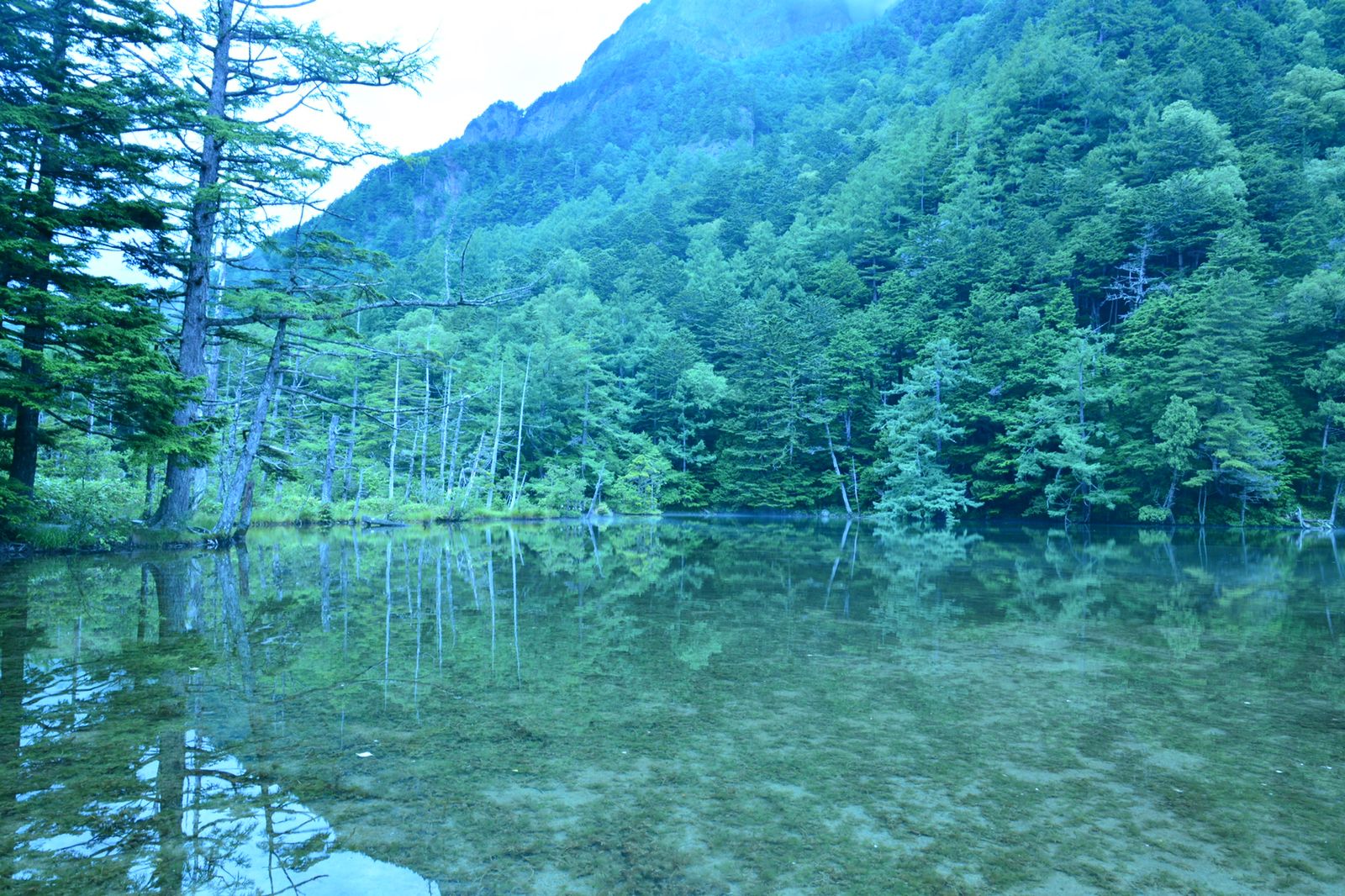 この美しさにきっと涙する 上高地の 明神池 が神秘的すぎると話題 Retrip リトリップ