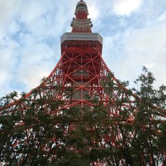迷ったらここ 東京タワーと合わせて行けるおすすめレストラン5選 Retrip リトリップ