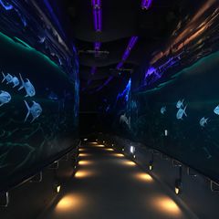 友人と 家族と カップルで 福岡の定番おでかけスポット選 Retrip リトリップ