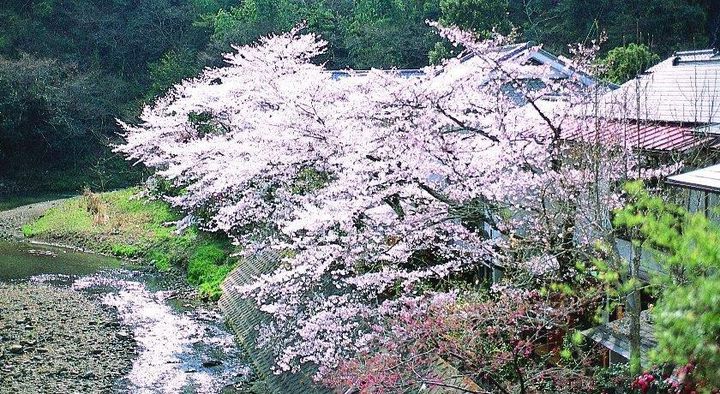 桜 と 温泉 でダブルの楽しみ お花見ができる全国の温泉7選 Retrip リトリップ