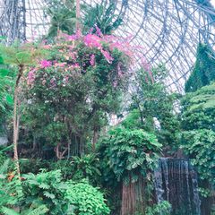 ボタニカルパワー 東京 夢の島熱帯植物館 でしたい５つのこと Retrip リトリップ