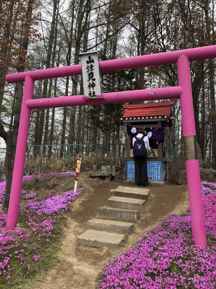 北海道の大地が恋をする ひがしもこと芝桜公園 の芝桜まつりに行きたい Retrip リトリップ