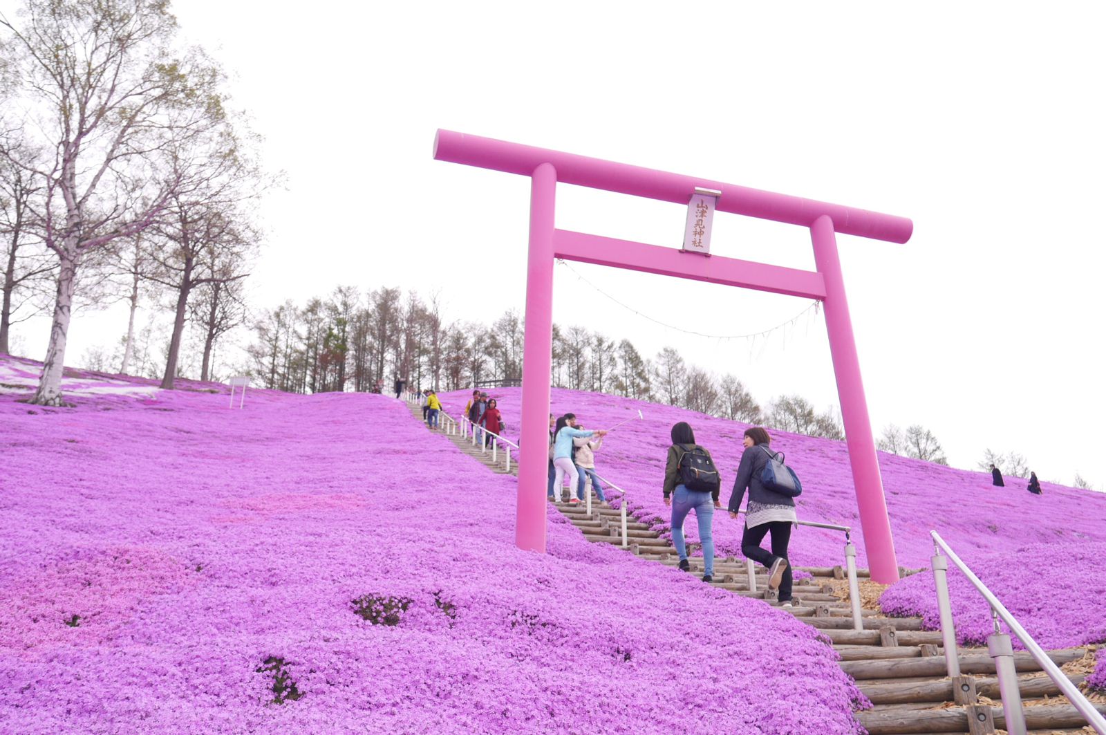 日本全国 鳥居が織りなす日本の絶景 美しすぎる鳥居が魅力の神社選 Retrip リトリップ