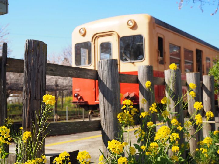 千葉県ローカル線の旅 小湊鉄道で行くおすすめ日帰りプランをご紹介 Retrip リトリップ