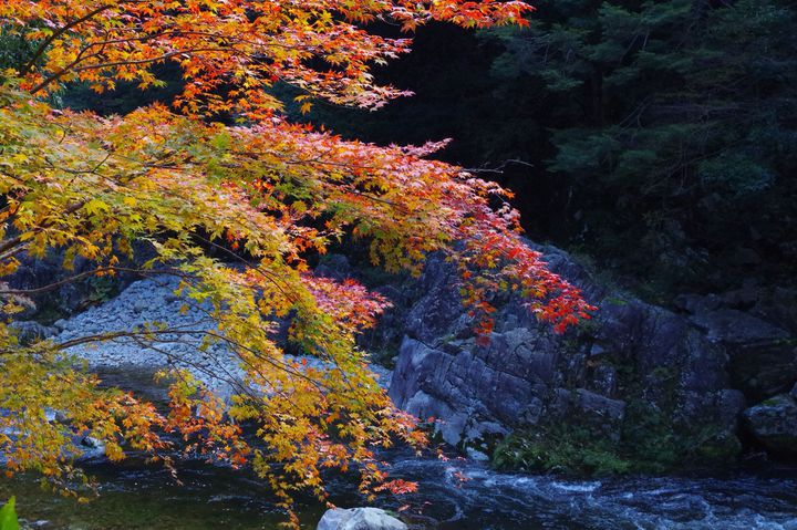 広島に世界が認めた秘境があった 紅葉の 三段峡 が作りだす絶景が見たい Retrip リトリップ