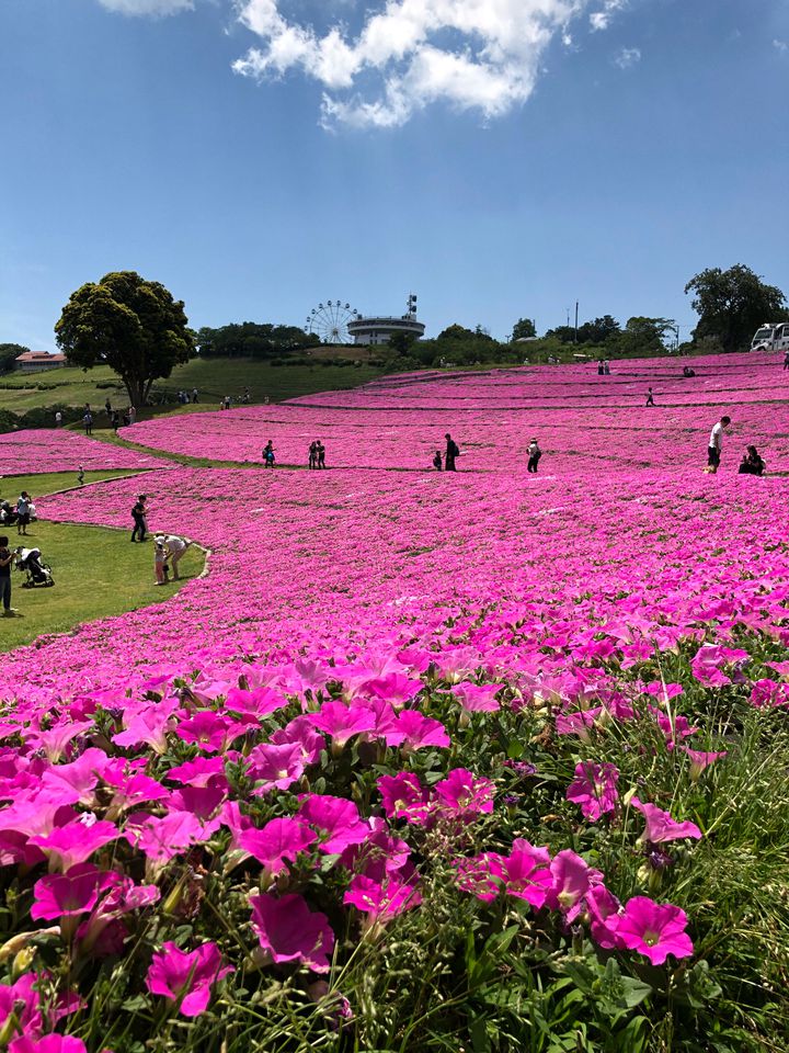 夏の終わりにしか見られない日本の絶景 やまちゃんのトピックス