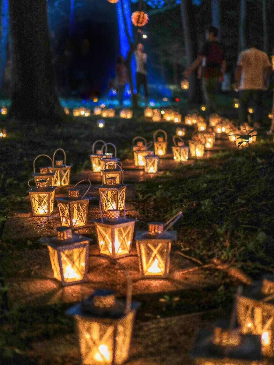 東北 デートプラン 出会い系アプリ