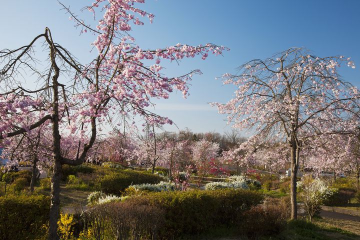 昭和っていいなあ！平成記念公園ぎふ清流里山公園でしたい5つのこと