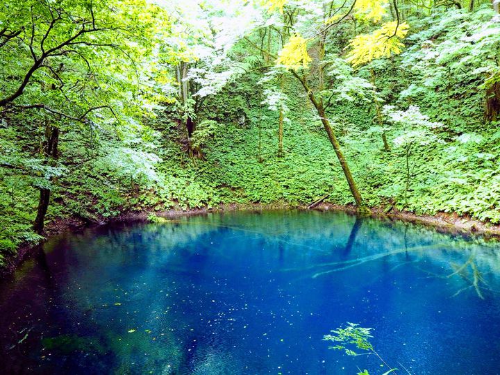 日本の魅力あふれる世界自然遺産 白神山地 を巡る おすすめスポット5選 Retrip リトリップ