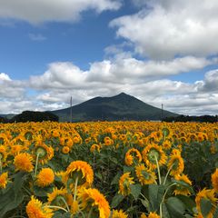 ニュース画像