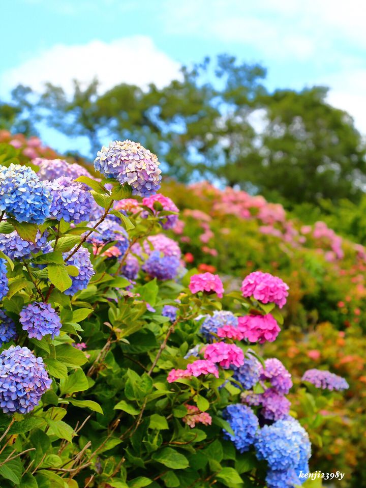 駐車場が埋まる人気っぷり 大阪の 道の駅 ランキングtop5 Retrip リトリップ 駐車場が埋まる人気っぷり 大阪の 道の駅 ランキングtop5 Retrip リトリップ