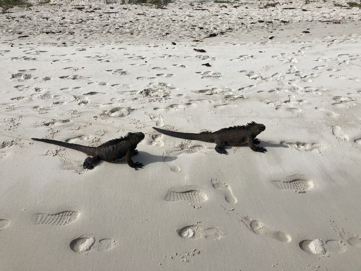 最初の世界遺産はここだった！世界各地の「世界遺産第1号」12選！