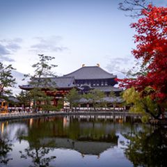 二人の絆が深まる 奈良デート カップルで行きたい おでかけスポット選 Retrip リトリップ