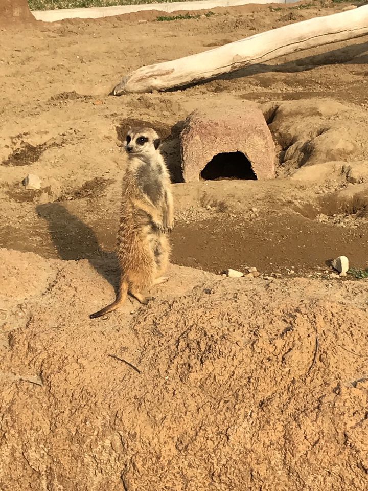 2024最新】ドライブにおすすめ！関東地方の人気動物園・水族館ランキングTOP30 | RETRIP[リトリップ]