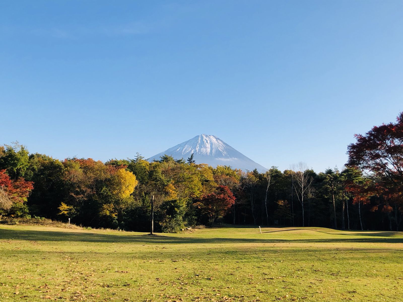 西湖野鳥の森公園 Retrip リトリップ