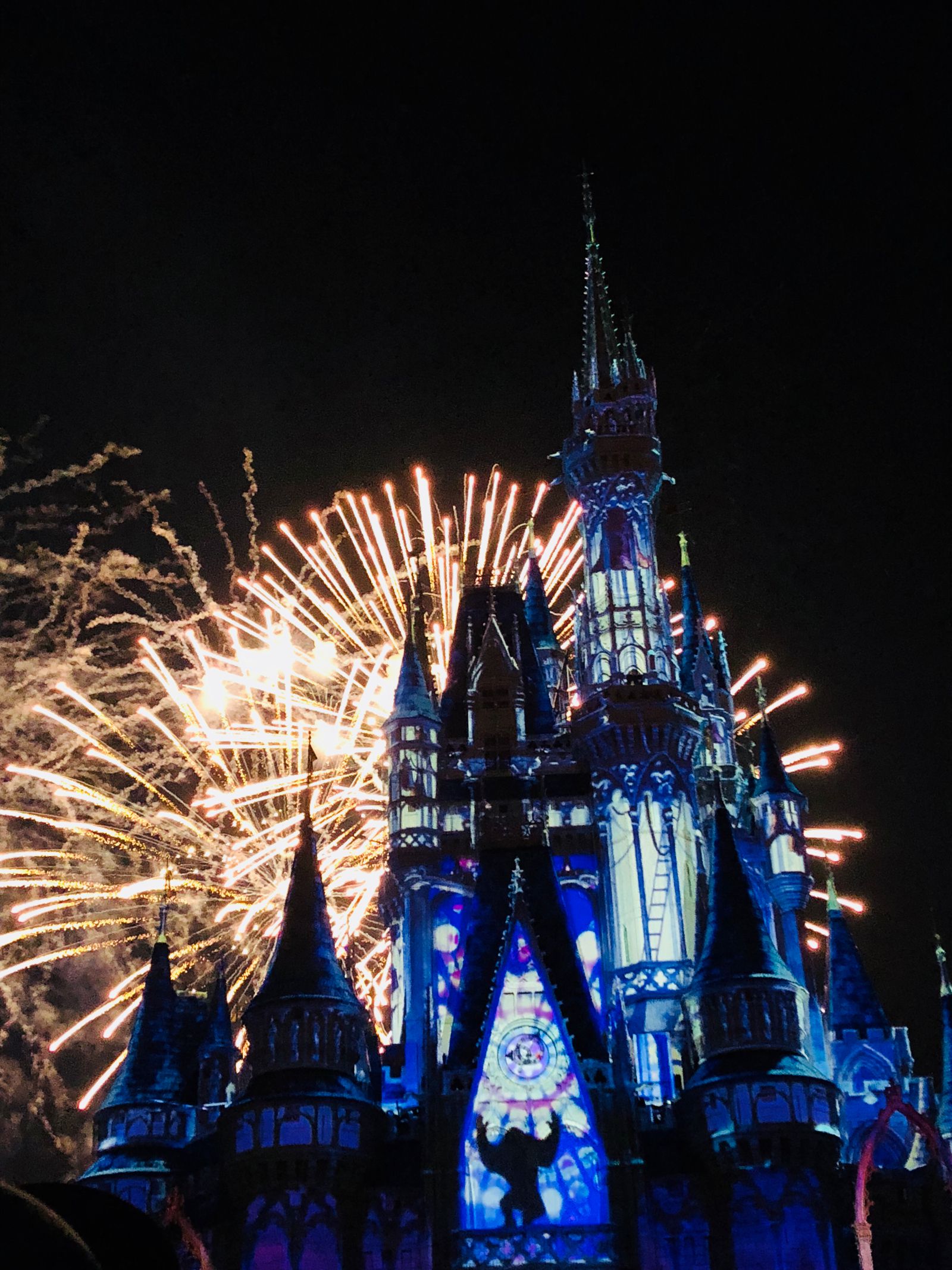 Happily Ever After Fireworks Retrip リトリップ