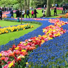 死ぬまでに一度は行きたい 美しすぎる世界の絶景 花畑 18選 Retrip リトリップ