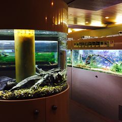 21最新 高島平駅周辺の人気水族館ランキングtop1 Retrip リトリップ