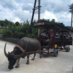 一人旅も子連れもok 石垣島の格安民宿おすすめ15選 Retrip リトリップ