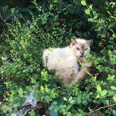 一人旅も子連れもok 石垣島の格安民宿おすすめ15選 Retrip リトリップ