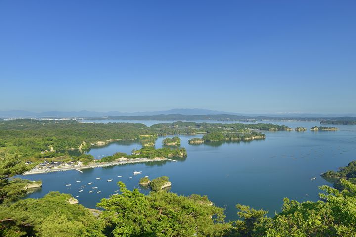 空の旅で絶景を味わおう。松島で体験できる「パラグライダー」を紹介