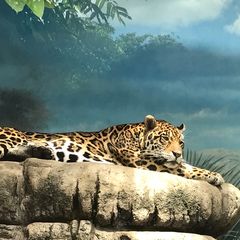 天王寺動物園デートで取り入れたいプラン10選 今日こそ恋の天王山 Retrip リトリップ