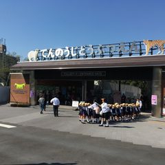 天王寺動物園デートで取り入れたいプラン10選 今日こそ恋の天王山 Retrip リトリップ