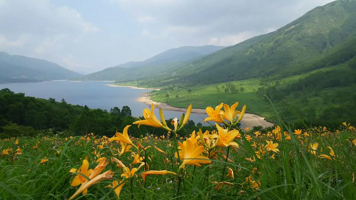 天空の湖”と賞賛される絶景！群馬県の「野反湖」は大自然の宝庫だった