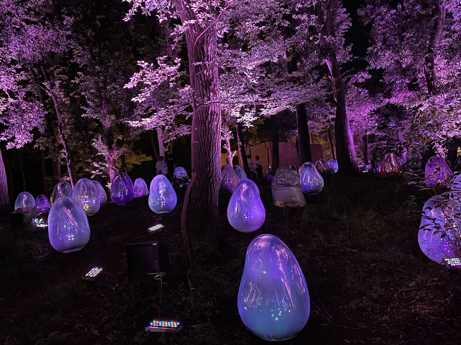 何もないなんて言わせない 埼玉 千葉の 他県に誇れる デートスポットまとめ Retrip リトリップ