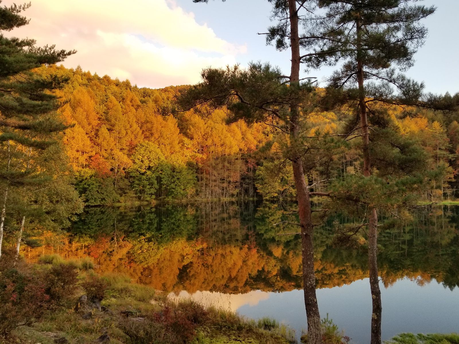 17枚目の画像 さぁ行こう 秋の楽園へ 東京都内からドライブで行ける秋の紅葉絶景スポット10選 Retrip リトリップ