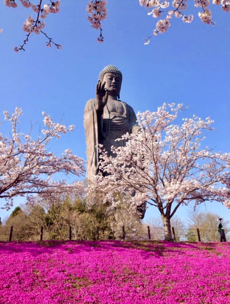 これぞ日本！自然や歴史を感じる茨城県の魅力のスポット | RETRIP