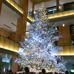 名古屋編 バタバタカップルは参考にして クリスマス当日アツアツデートプラン Retrip リトリップ