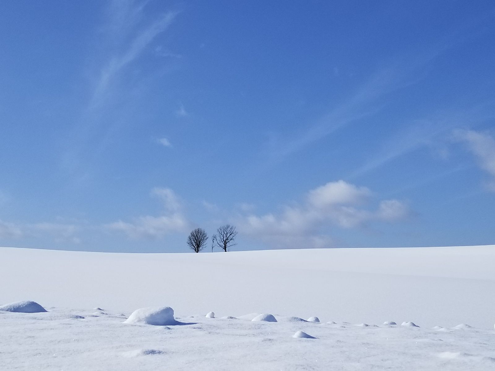 冬本番 日本の雪景色を堪能する家10選 Retrip リトリップ