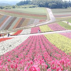 日本一周者が選ぶ 北海道で行くべき観光スポット厳選選 Retrip リトリップ