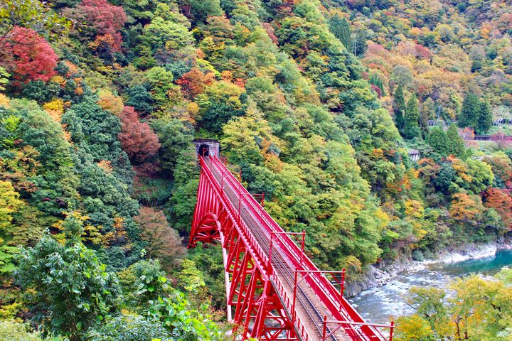 もうマイナーとは言わせない。絶景スポットが見られる7つの県