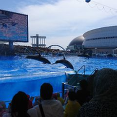 最新 東海地方の人気動物園 水族館ランキングtop30 Retrip リトリップ