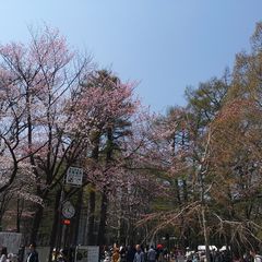 21最新 円山公園駅周辺の人気バーベキュー場ランキングtop1 Retrip リトリップ