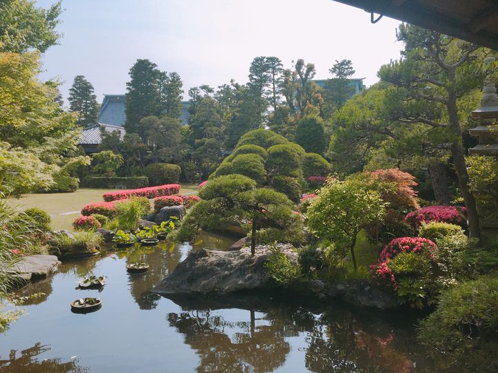 金町駅の周辺てどんなとこ 金町駅周辺の魅力5選 Retrip リトリップ