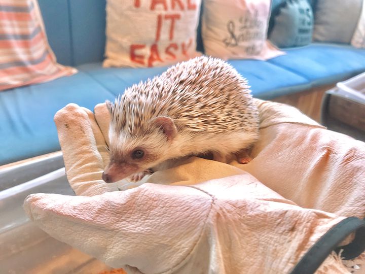 いつもと違う 体験を 非日常を味わう東京都内のデートスポット13選 Retrip リトリップ