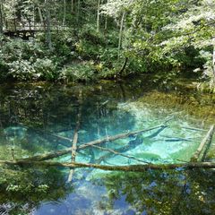 死ぬまでに一度は見たい 思わず感動する日本国内の 神秘的な池 5選 Retrip リトリップ