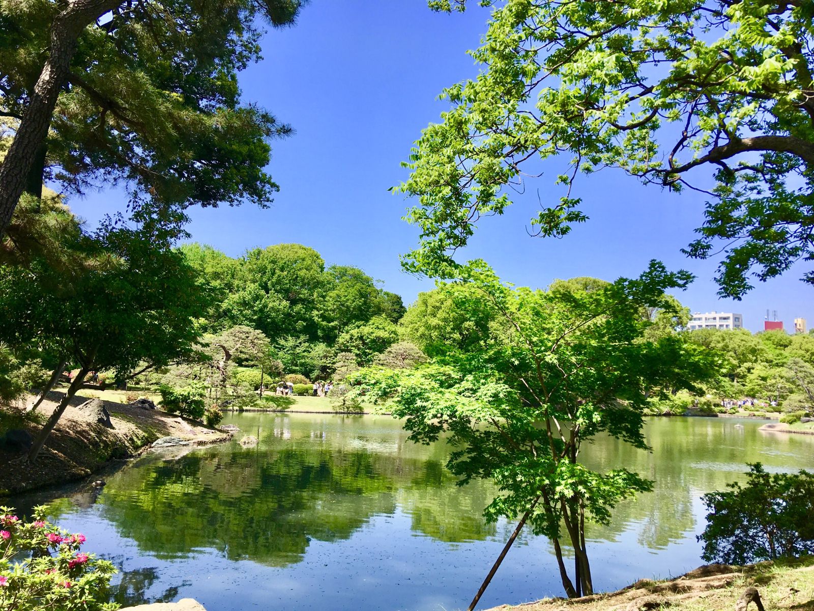 22最新 東京の人気庭園ランキングtop30 Retrip リトリップ