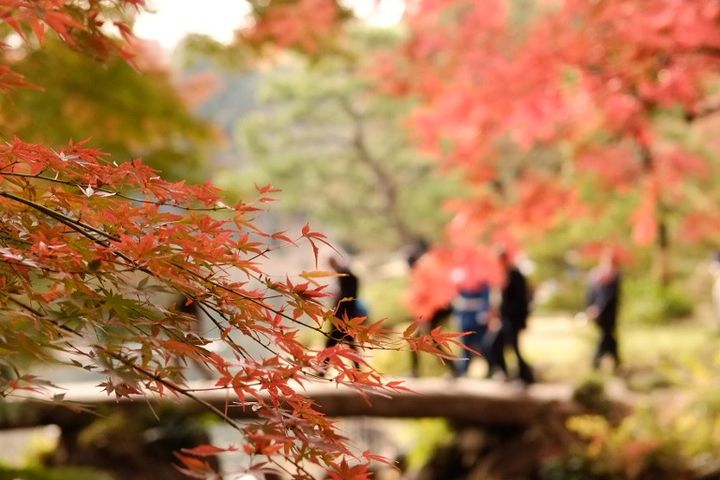 オシャレ女子はこう遊ぶ 友達と東京都内で出来ること おすすめスポット11選 Retrip リトリップ