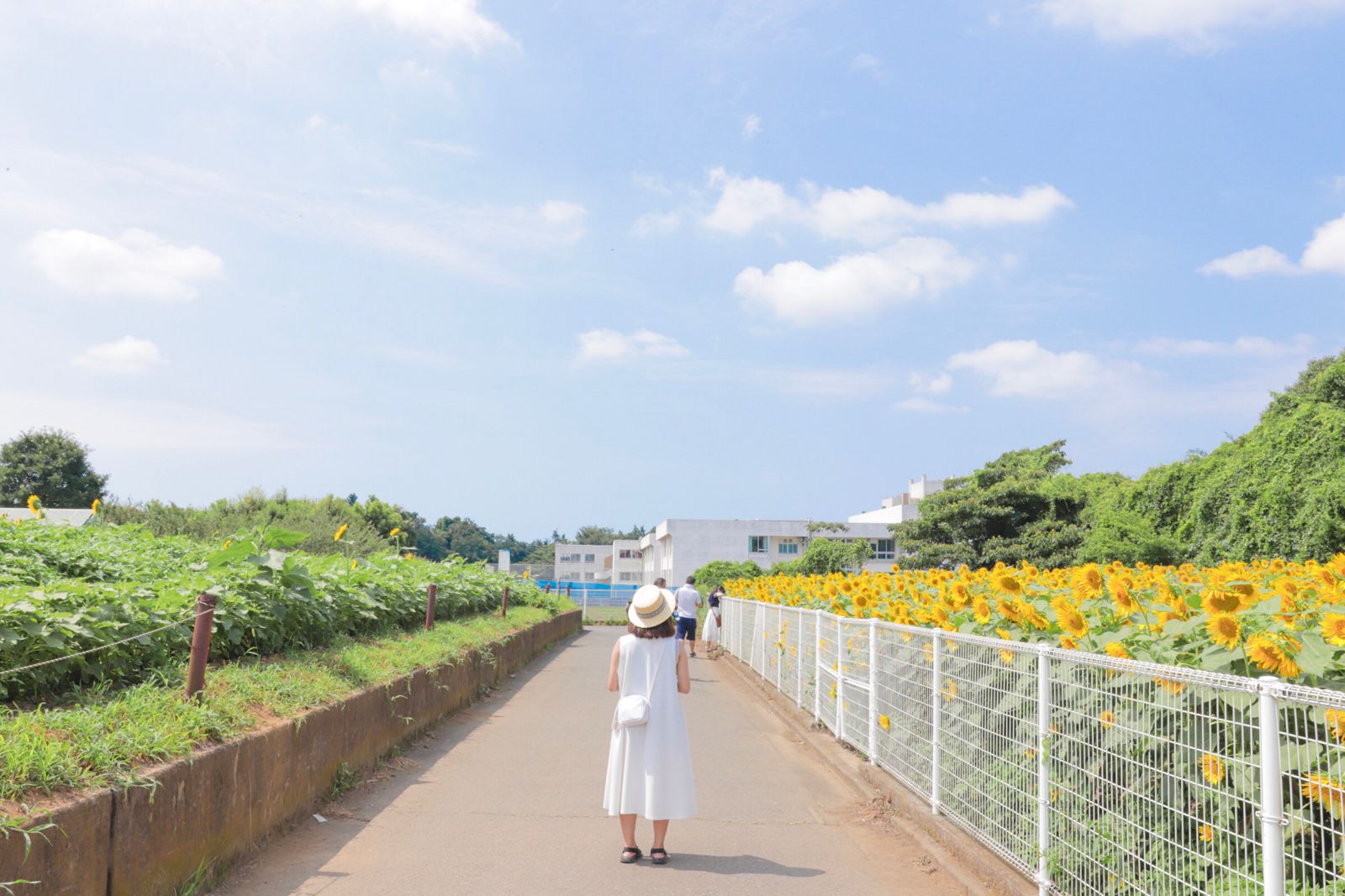 メイン画像 この夏 君と絶景に恋をする 日本国内にある 夏を感じる 美しき絶景7選 Retrip リトリップ