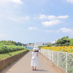 ニュース画像
