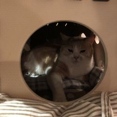 21最新 小竹向原駅周辺の人気居酒屋 ダイニングバー その他 ランキングtop6 Retrip リトリップ