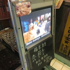 21最新 小竹向原駅周辺の人気居酒屋 ダイニングバー その他 ランキングtop6 Retrip リトリップ