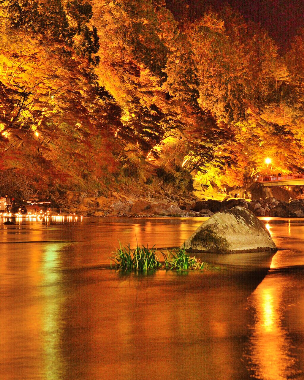 袋帯 17   写真より美しく豪華な朱色系　紅葉　短期大幅値下げ 今年の紅葉写真いろいろ ＠福島・文知摺観音，三鷹市某所，丹波山村