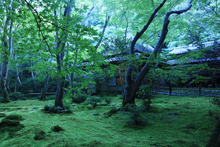 雨に濡れると、より美しくなる街。“梅雨の京都”で訪れたい13のスポット